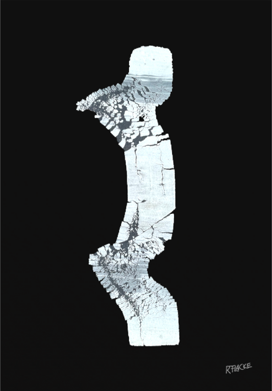 Main image "Zebraman/Dreamman" - Leinwandprint