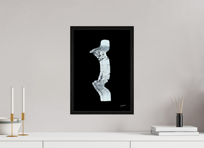 30 x 43,3 cm, Floater Frame "Zebraman/Dreamman" - Leinwandprint